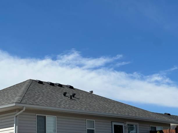 Fast & Reliable Emergency Roof Repairs in Cedar Hill, MO