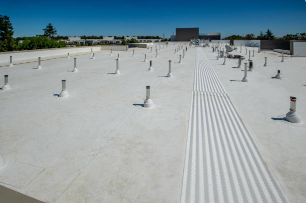 Best Roof Insulation Installation  in Cedar Hill, MO